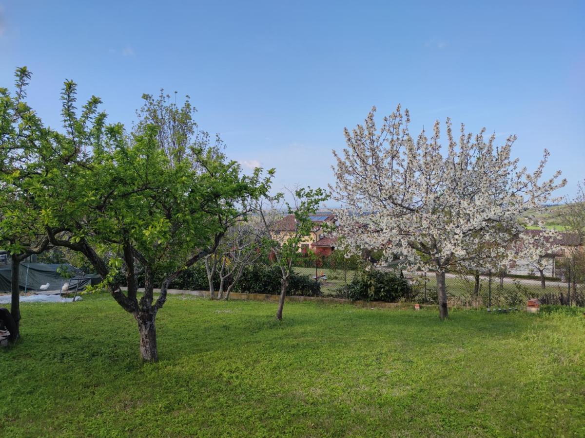 Ferienwohnung Relax In Collina A Due Passi Dal Mare Torriana Exterior foto